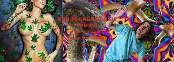 метадон Аркадак