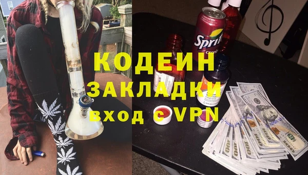 ГАЛЛЮЦИНОГЕННЫЕ ГРИБЫ Арсеньев