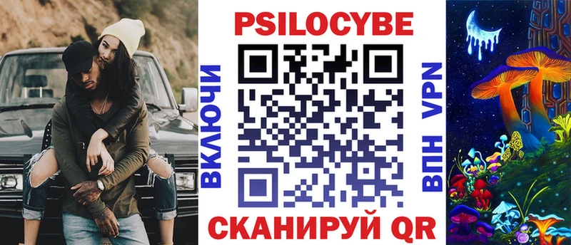 Галлюциногенные грибы Psilocybe  маркетплейс клад  Краснослободск 